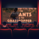 An illustration of people in movie theatre seats with the film image on the screen in front of them - an African woman in colourful traditional dress, stands on the land, in the background shadowy images of the White House, industrialized agriculture and smokestacks, and the title of the film, The Ants and the Grasshopper