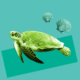 A green turtle and two sea shells against a teal background.