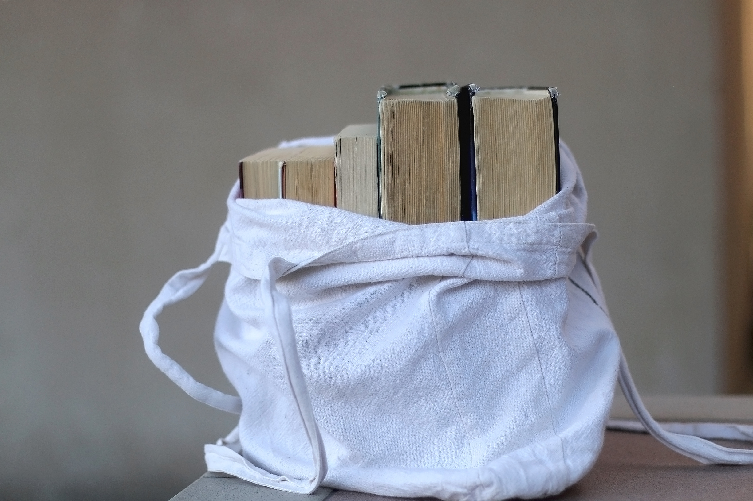 A white, canvas tote bag filled with books.