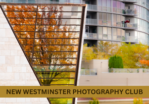 NW Photography Club
